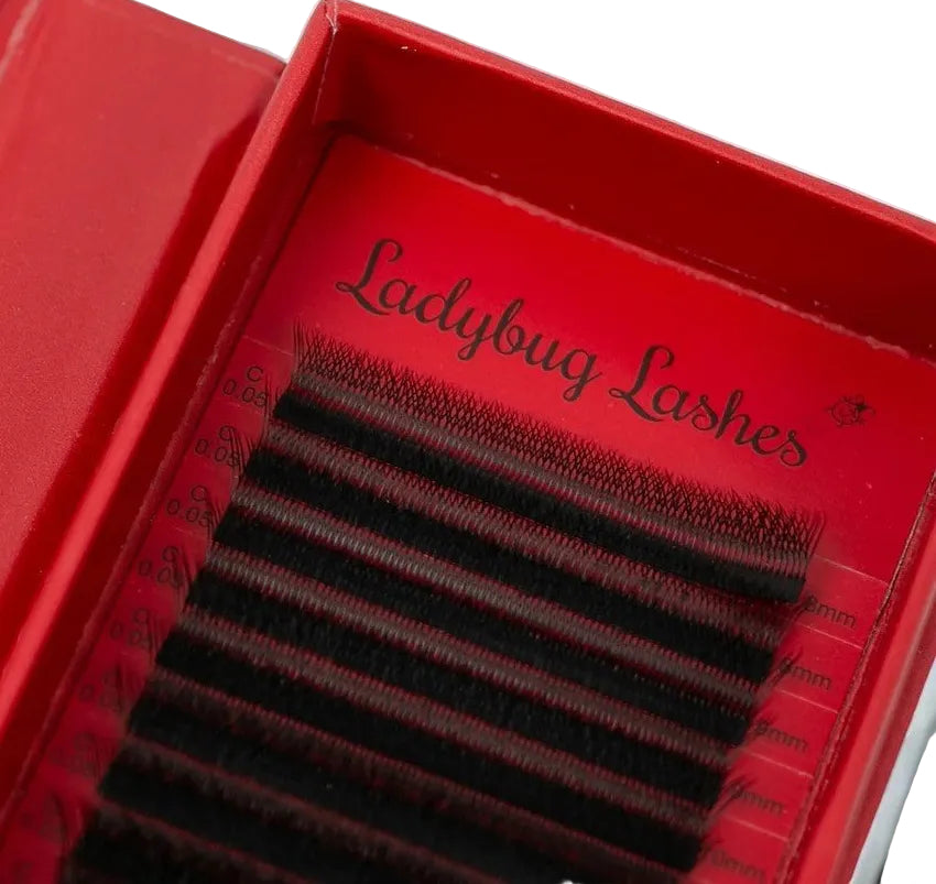 ladybuglashes lashglue lashtrays lashadhesive glueretention cloverlashes wlashes yylashes premades promades lashes