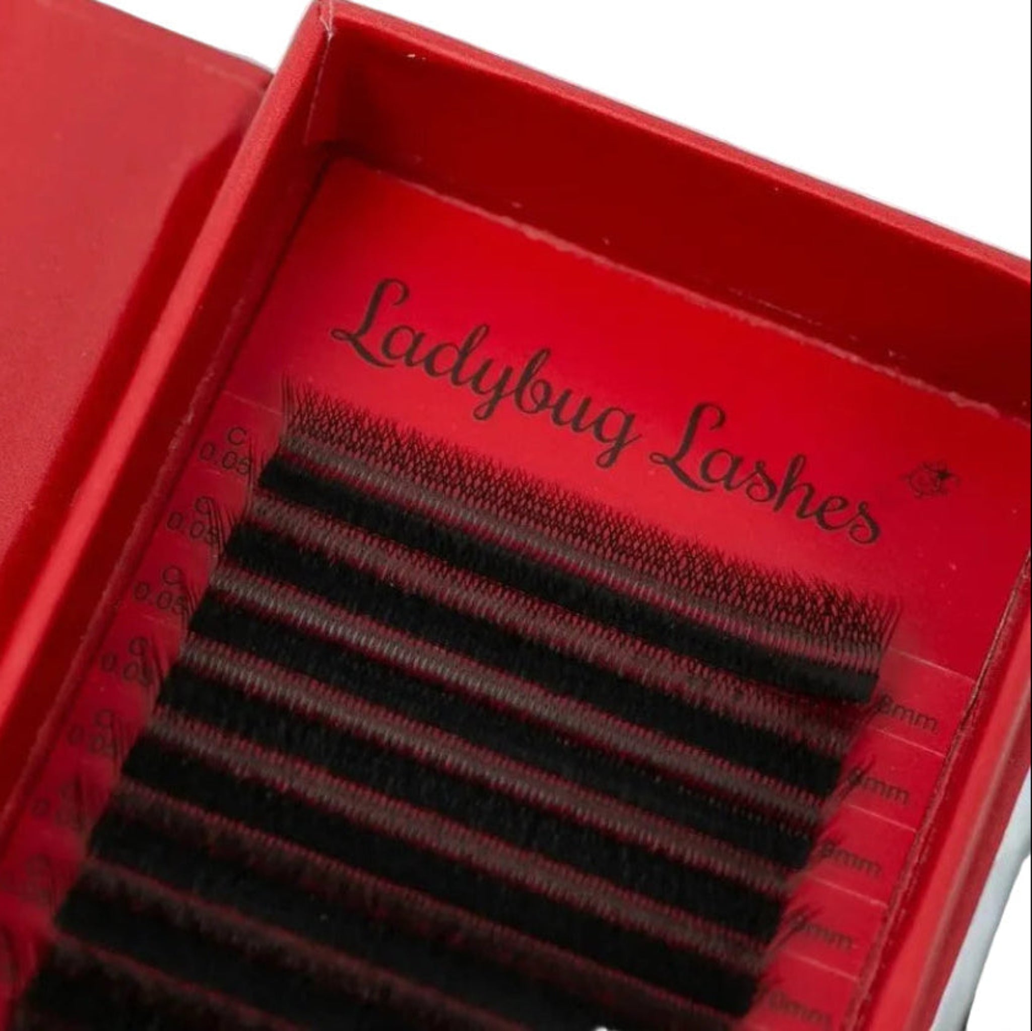 ladybuglashes lashglue lashtrays lashadhesive glueretention cloverlashes wlashes yylashes premades promades lashes