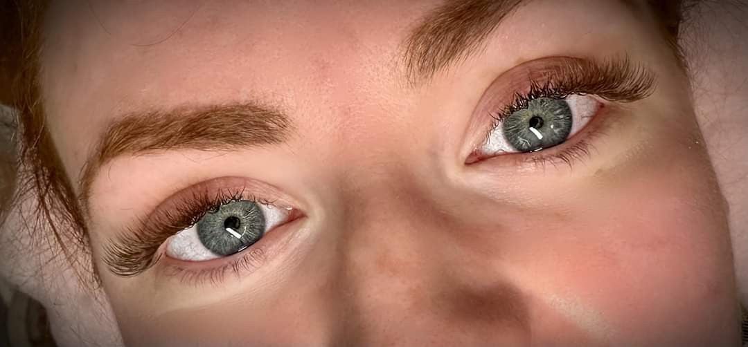 ladybuglashes lashglue lashtrays lashadhesive glueretention cloverlashes wlashes yylashes premades promades lashes