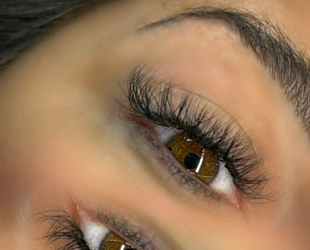 ladybuglashes lashglue lashtrays lashadhesive glueretention cloverlashes wlashes yylashes premades promades lashes