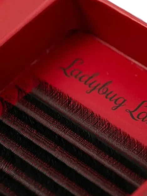 ladybuglashes lashglue lashtrays lashadhesive glueretention cloverlashes wlashes yylashes premades promades lashes