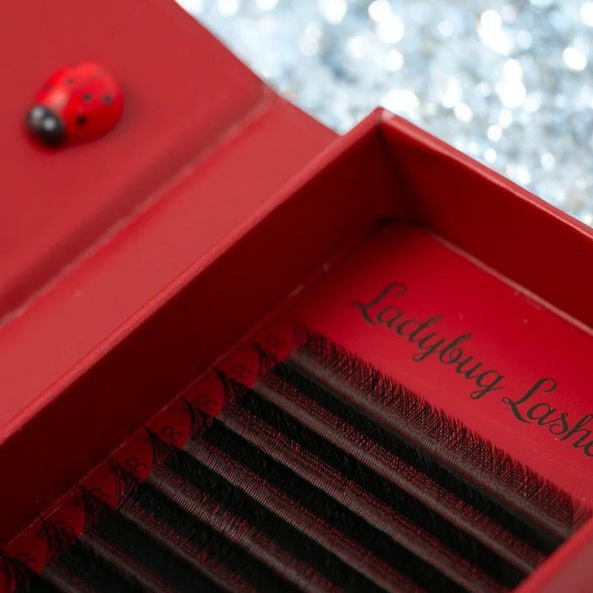 ladybuglashes lashglue lashtrays lashadhesive glueretention cloverlashes wlashes yylashes premades promades lashes