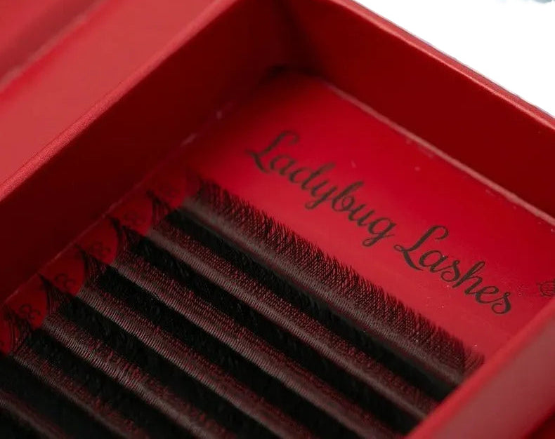 ladybuglashes lashglue lashtrays lashadhesive glueretention cloverlashes wlashes yylashes premades promades lashes