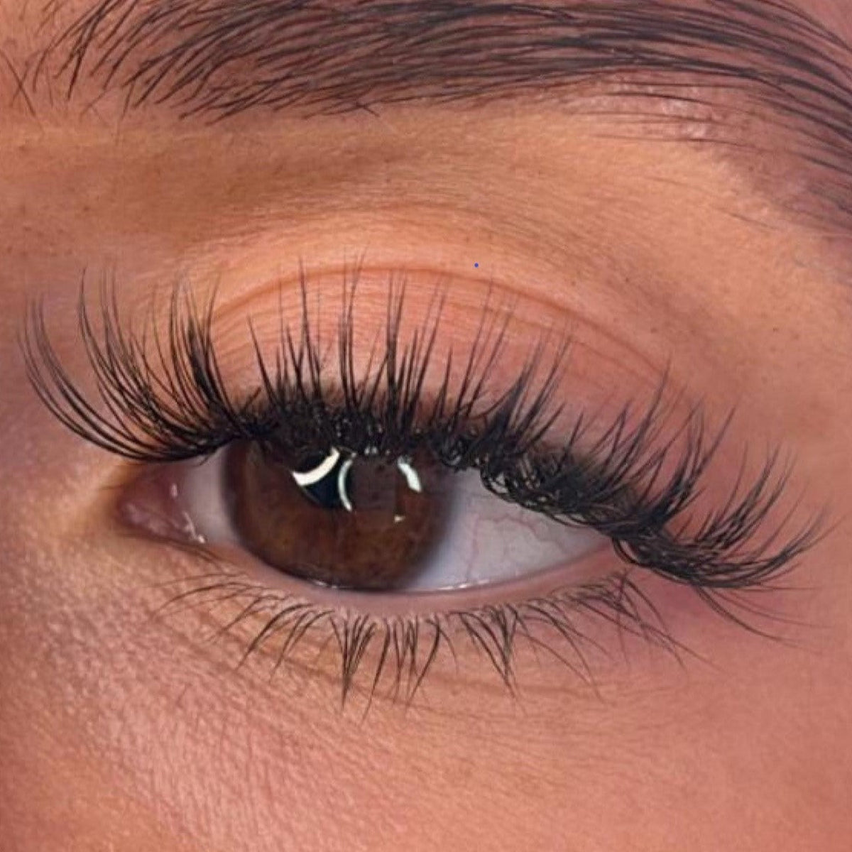 Lash Ribbons Logan DIY Lash Clusters – product image 3