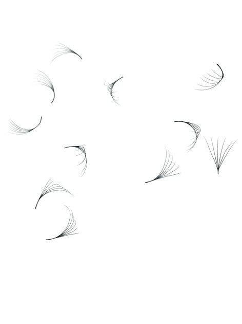 ladybuglashes lashglue lashtrays lashadhesive glueretention cloverlashes wlashes yylashes premades promades lashes