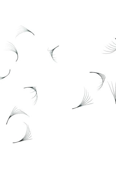 ladybuglashes lashglue lashtrays lashadhesive glueretention cloverlashes wlashes yylashes premades promades lashes