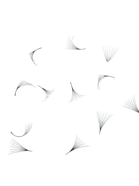 ladybuglashes lashglue lashtrays lashadhesive glueretention cloverlashes wlashes yylashes premades promades lashes