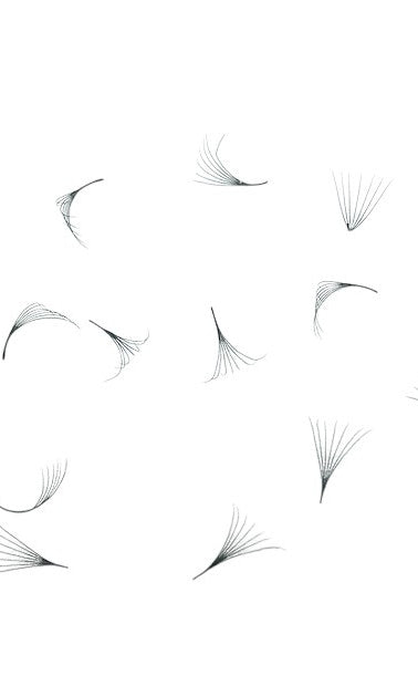 ladybuglashes lashglue lashtrays lashadhesive glueretention cloverlashes wlashes yylashes premades promades lashes