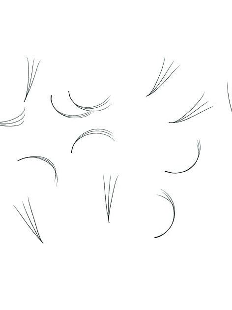 ladybuglashes lashglue lashtrays lashadhesive glueretention cloverlashes wlashes yylashes premades promades lashes