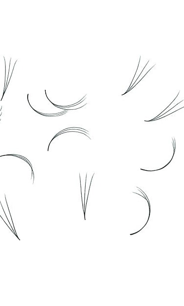 ladybuglashes lashglue lashtrays lashadhesive glueretention cloverlashes wlashes yylashes premades promades lashes