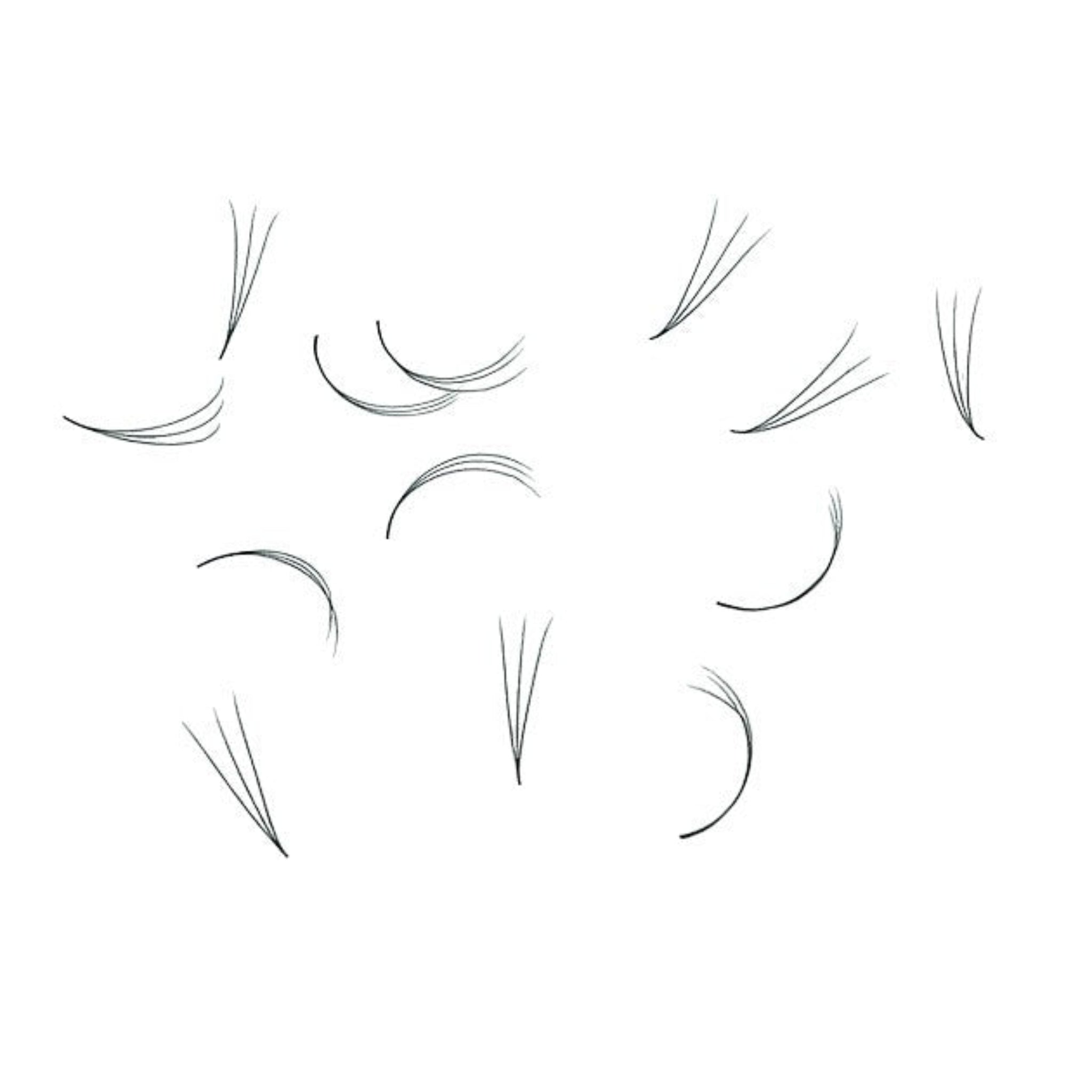 ladybuglashes lashglue lashtrays lashadhesive glueretention cloverlashes wlashes yylashes premades promades lashes