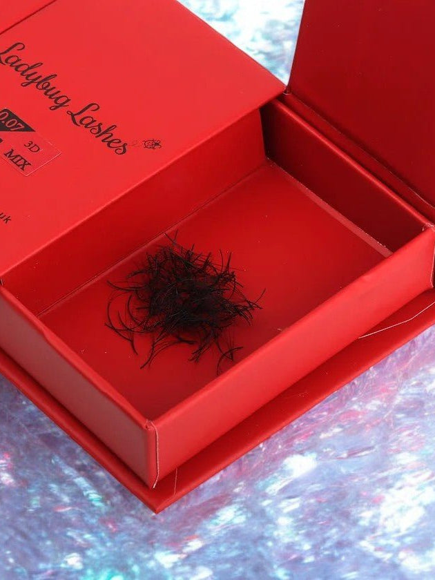 ladybuglashes lashglue lashtrays lashadhesive glueretention cloverlashes wlashes yylashes premades promades lashes