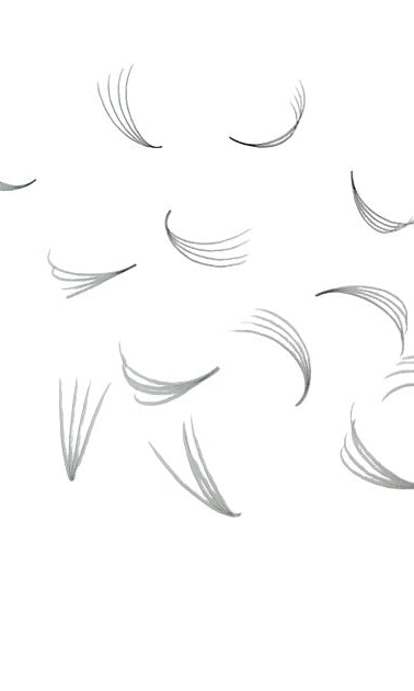 ladybuglashes lashglue lashtrays lashadhesive glueretention cloverlashes wlashes yylashes premades promades lashes