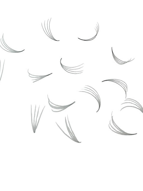 ladybuglashes lashglue lashtrays lashadhesive glueretention cloverlashes wlashes yylashes premades promades lashes