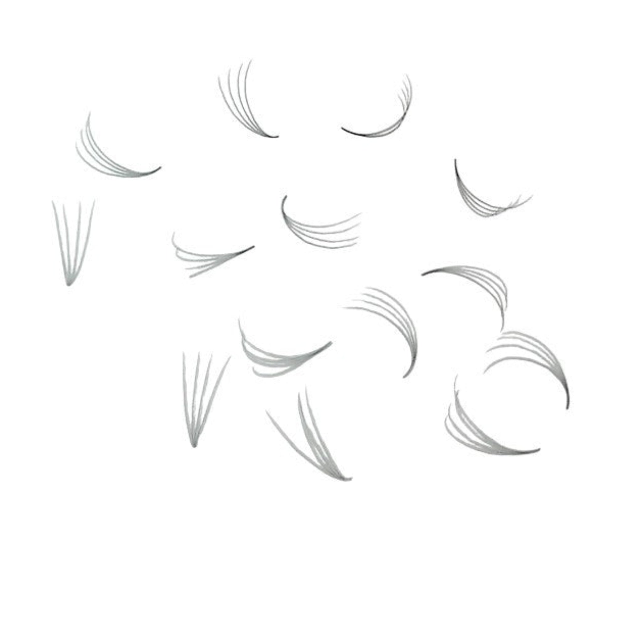 ladybuglashes lashglue lashtrays lashadhesive glueretention cloverlashes wlashes yylashes premades promades lashes