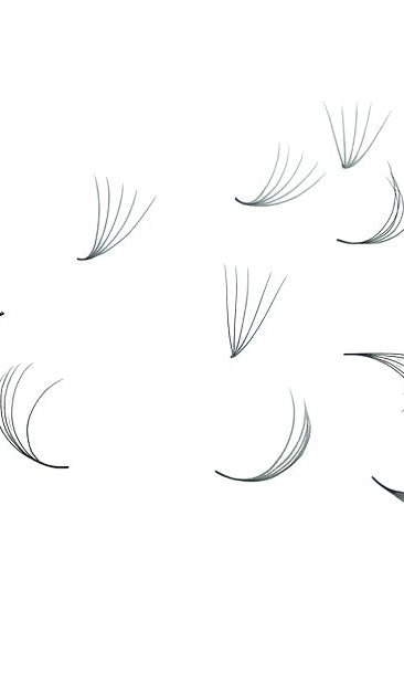 ladybuglashes lashglue lashtrays lashadhesive glueretention cloverlashes wlashes yylashes premades promades lashes