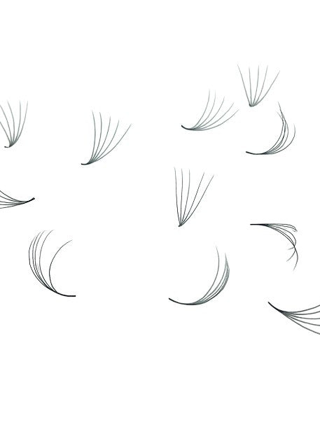 ladybuglashes lashglue lashtrays lashadhesive glueretention cloverlashes wlashes yylashes premades promades lashes