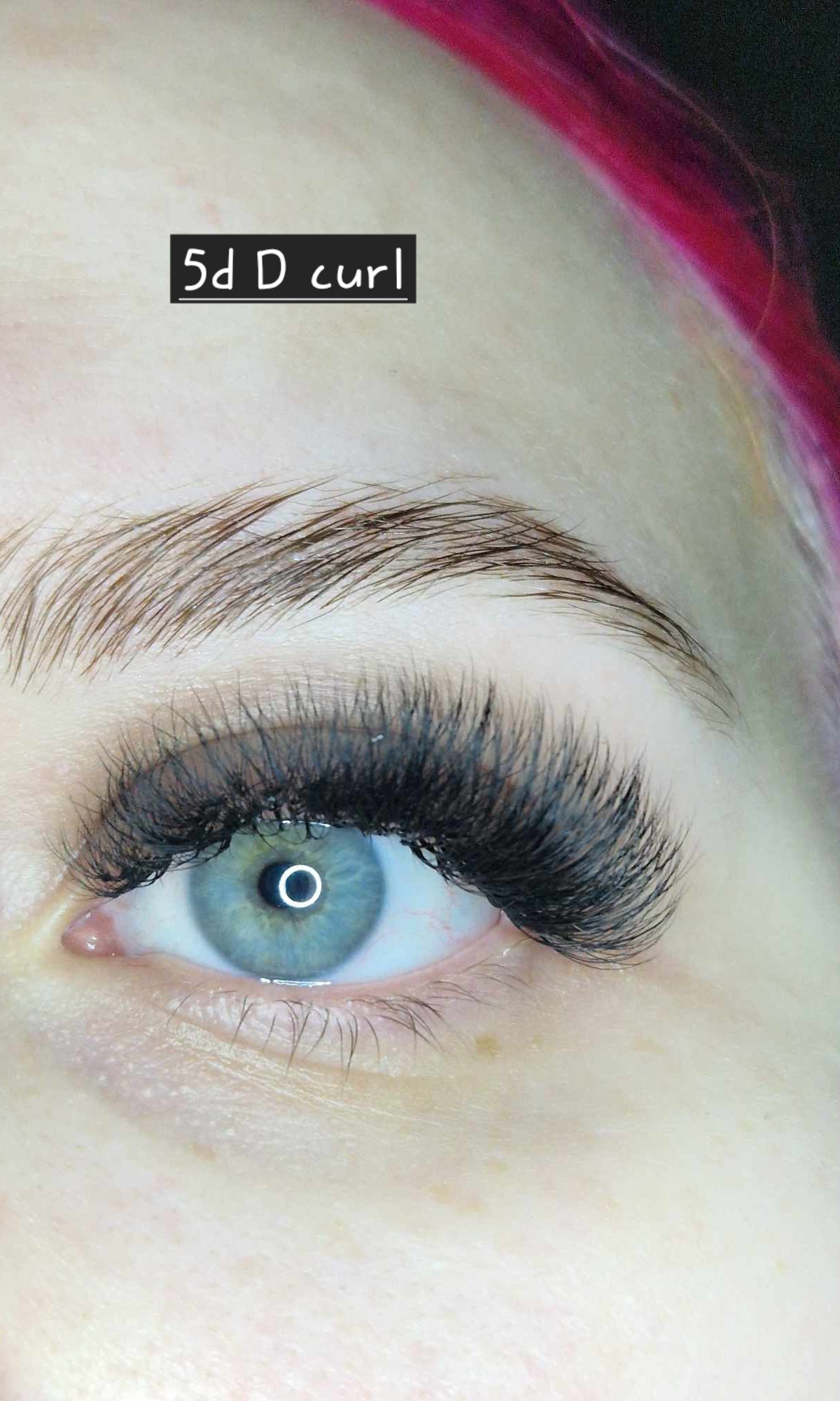 ladybuglashes lashglue lashtrays lashadhesive glueretention cloverlashes wlashes yylashes premades promades lashes