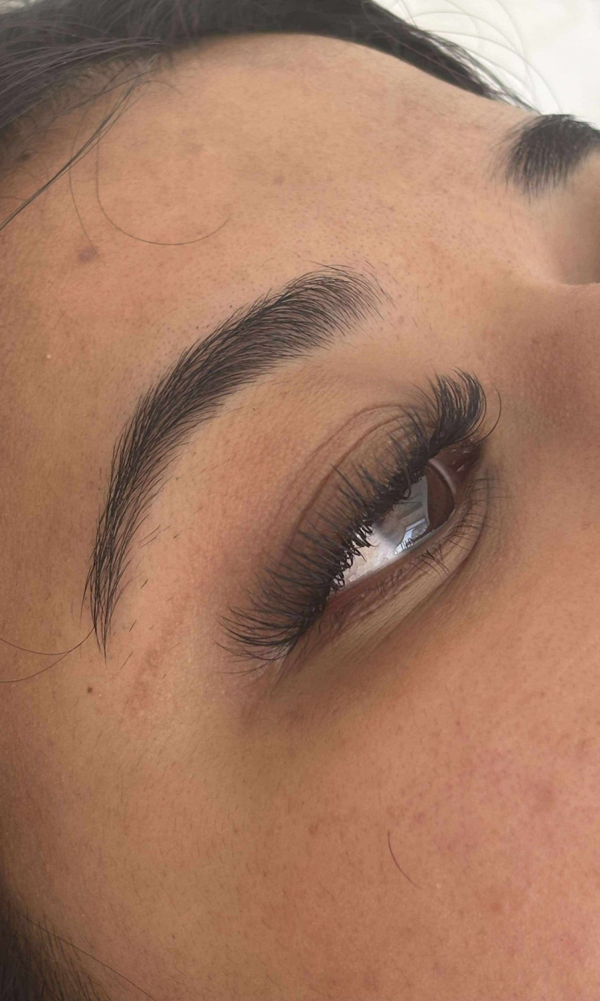 ladybuglashes lashglue lashtrays lashadhesive glueretention cloverlashes wlashes yylashes premades promades lashes