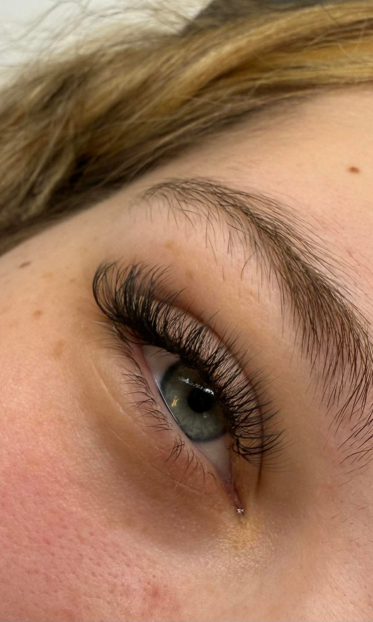 ladybuglashes lashglue lashtrays lashadhesive glueretention cloverlashes wlashes yylashes premades promades lashes