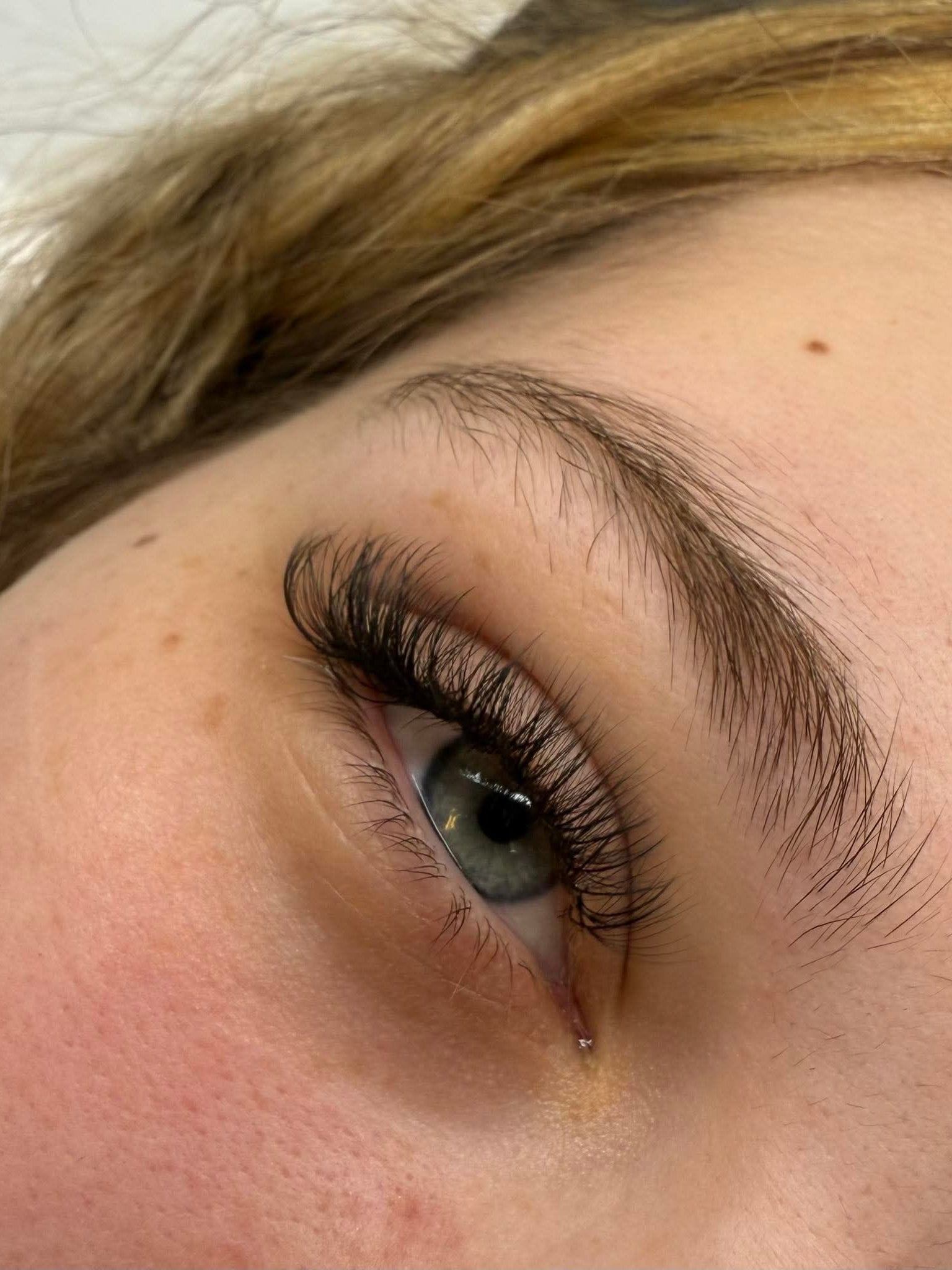 ladybuglashes lashglue lashtrays lashadhesive glueretention cloverlashes wlashes yylashes premades promades lashes