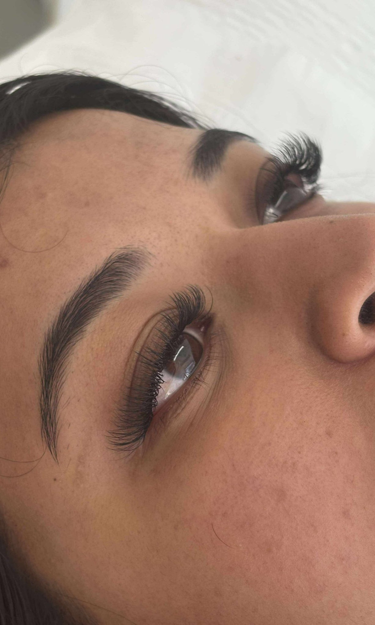 ladybuglashes lashglue lashtrays lashadhesive glueretention cloverlashes wlashes yylashes premades promades lashes