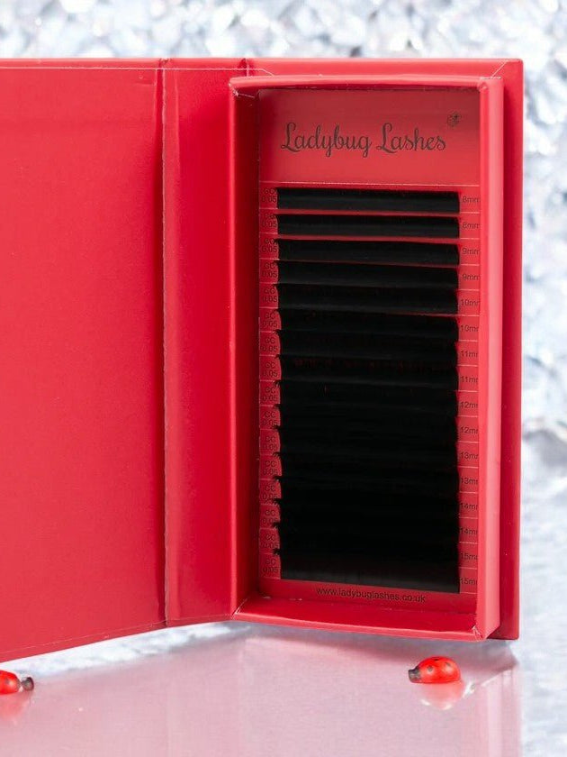 ladybuglashes lashglue lashtrays lashadhesive glueretention cloverlashes wlashes yylashes premades promades lashes