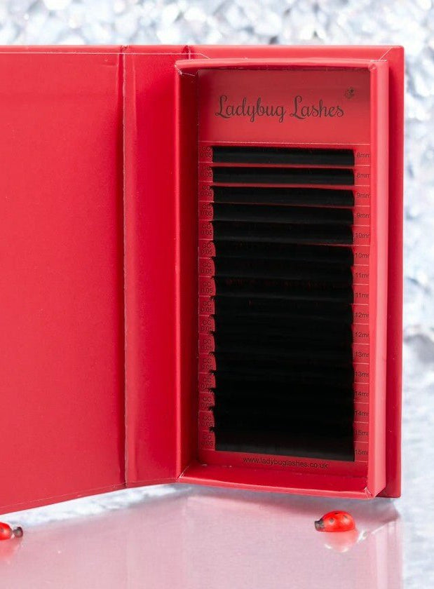 ladybuglashes lashglue lashtrays lashadhesive glueretention cloverlashes wlashes yylashes premades promades lashes