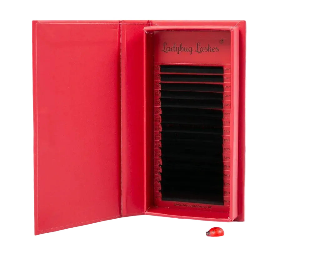 ladybuglashes lashglue lashtrays lashadhesive glueretention cloverlashes wlashes yylashes premades promades lashes