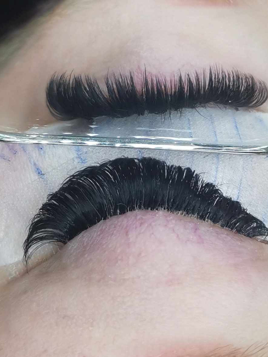 ladybuglashes lashglue lashtrays lashadhesive glueretention cloverlashes wlashes yylashes premades promades lashes