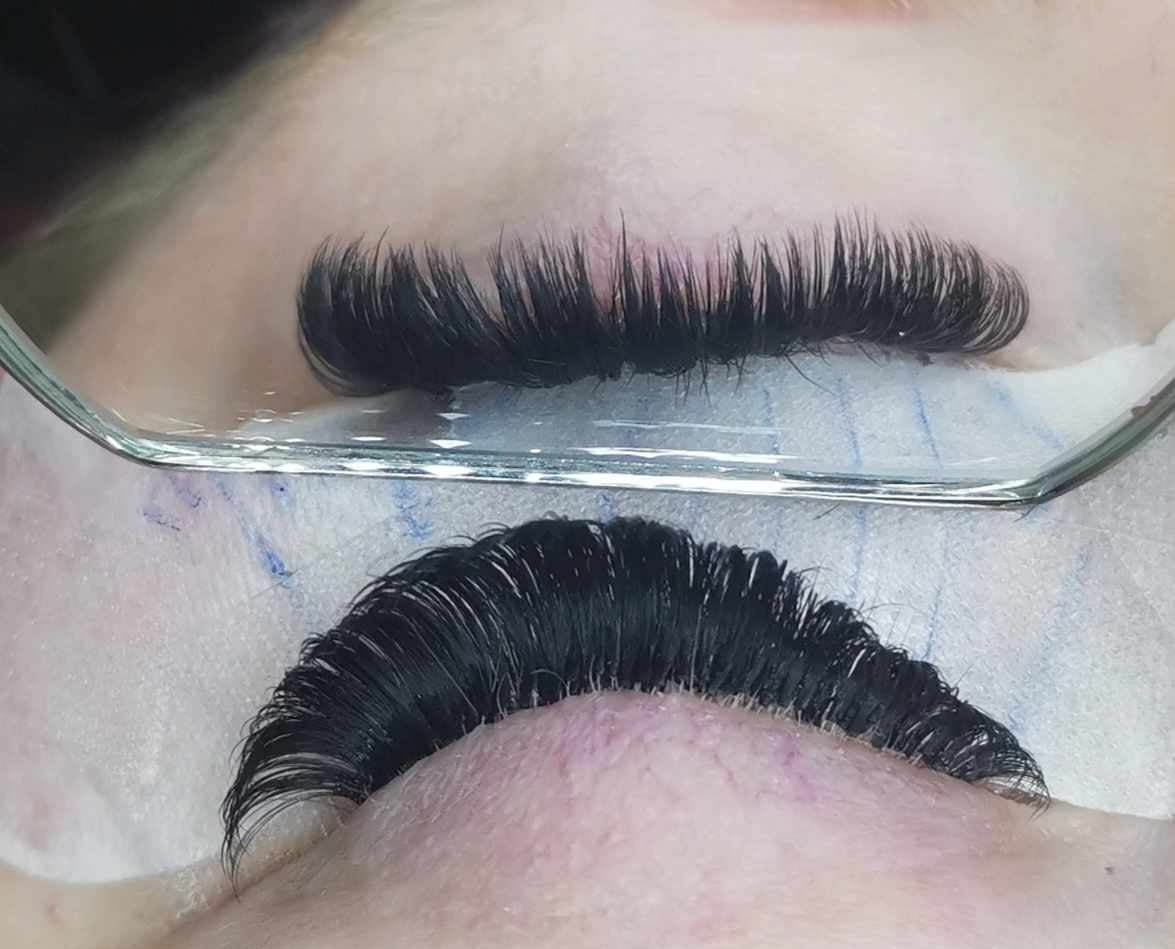 ladybuglashes lashglue lashtrays lashadhesive glueretention cloverlashes wlashes yylashes premades promades lashes