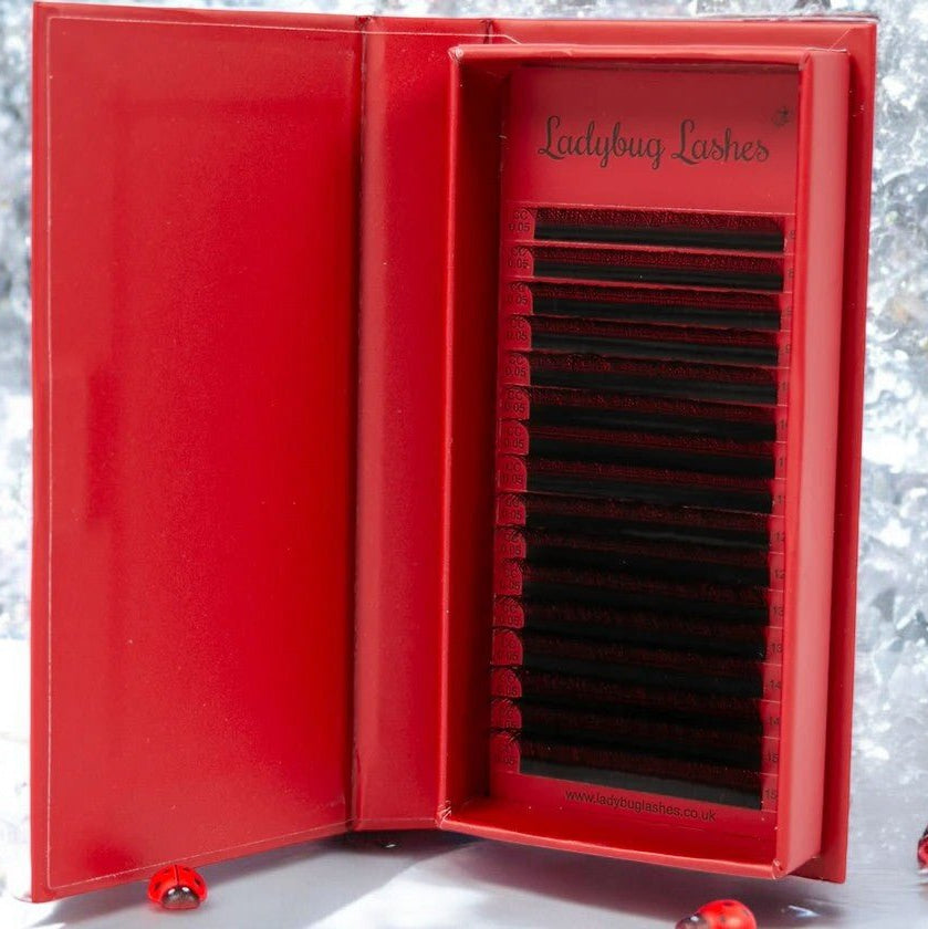 ladybuglashes lashglue lashtrays lashadhesive glueretention cloverlashes wlashes yylashes premades promades lashes