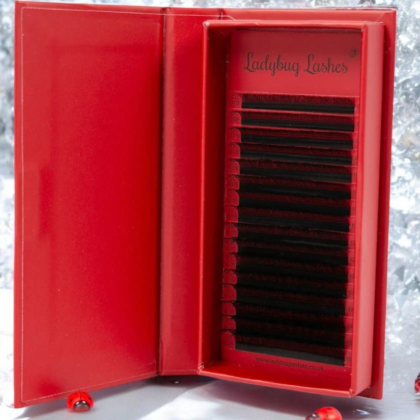 ladybuglashes lashglue lashtrays lashadhesive glueretention cloverlashes wlashes yylashes premades promades lashes