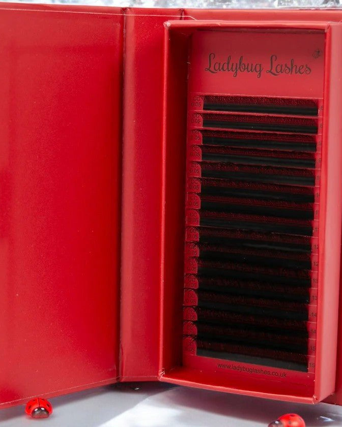 ladybuglashes lashglue lashtrays lashadhesive glueretention cloverlashes wlashes yylashes premades promades lashes