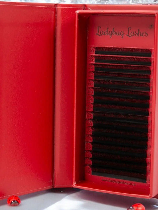 ladybuglashes lashglue lashtrays lashadhesive glueretention cloverlashes wlashes yylashes premades promades lashes