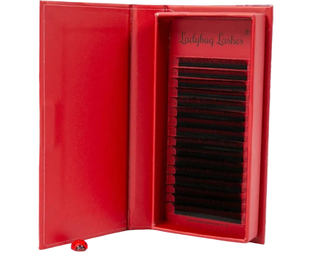 ladybuglashes lashglue lashtrays lashadhesive glueretention cloverlashes wlashes yylashes premades promades lashes