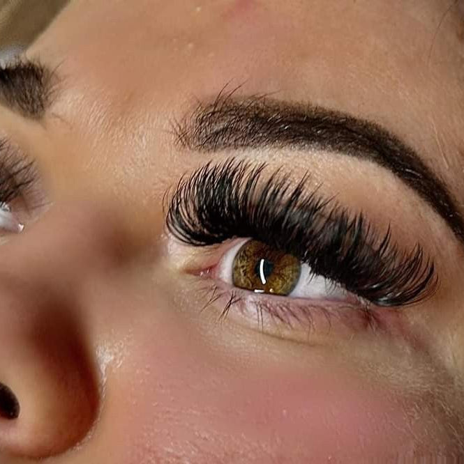 ladybuglashes lashglue lashtrays lashadhesive glueretention cloverlashes wlashes yylashes premades promades lashes