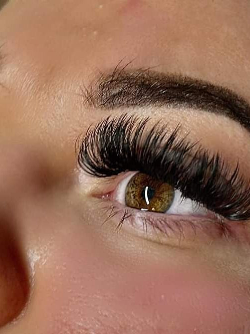 ladybuglashes lashglue lashtrays lashadhesive glueretention cloverlashes wlashes yylashes premades promades lashes