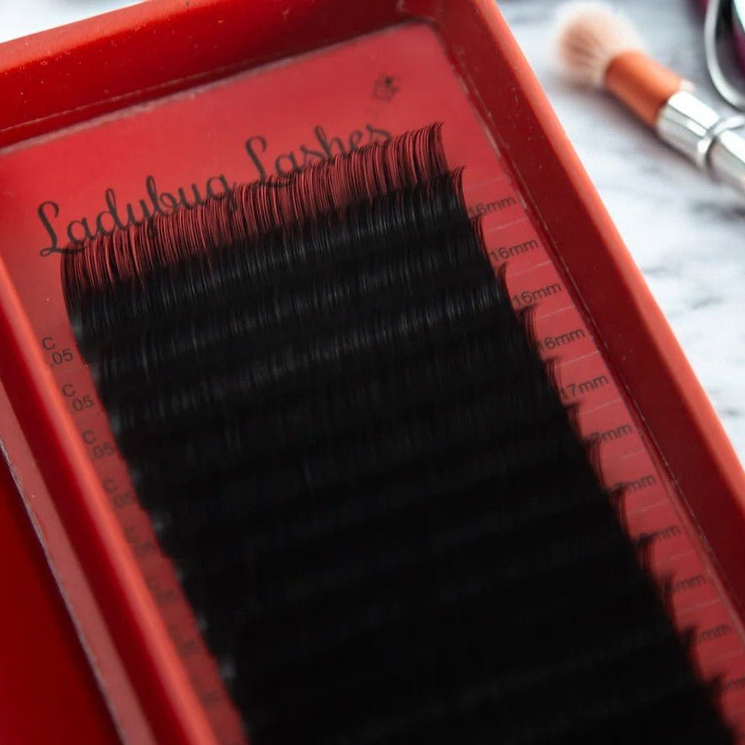 ladybuglashes lashglue lashtrays lashadhesive glueretention cloverlashes wlashes yylashes premades promades lashes