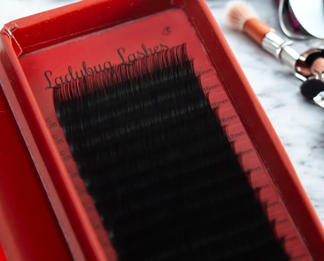 ladybuglashes lashglue lashtrays lashadhesive glueretention cloverlashes wlashes yylashes premades promades lashes