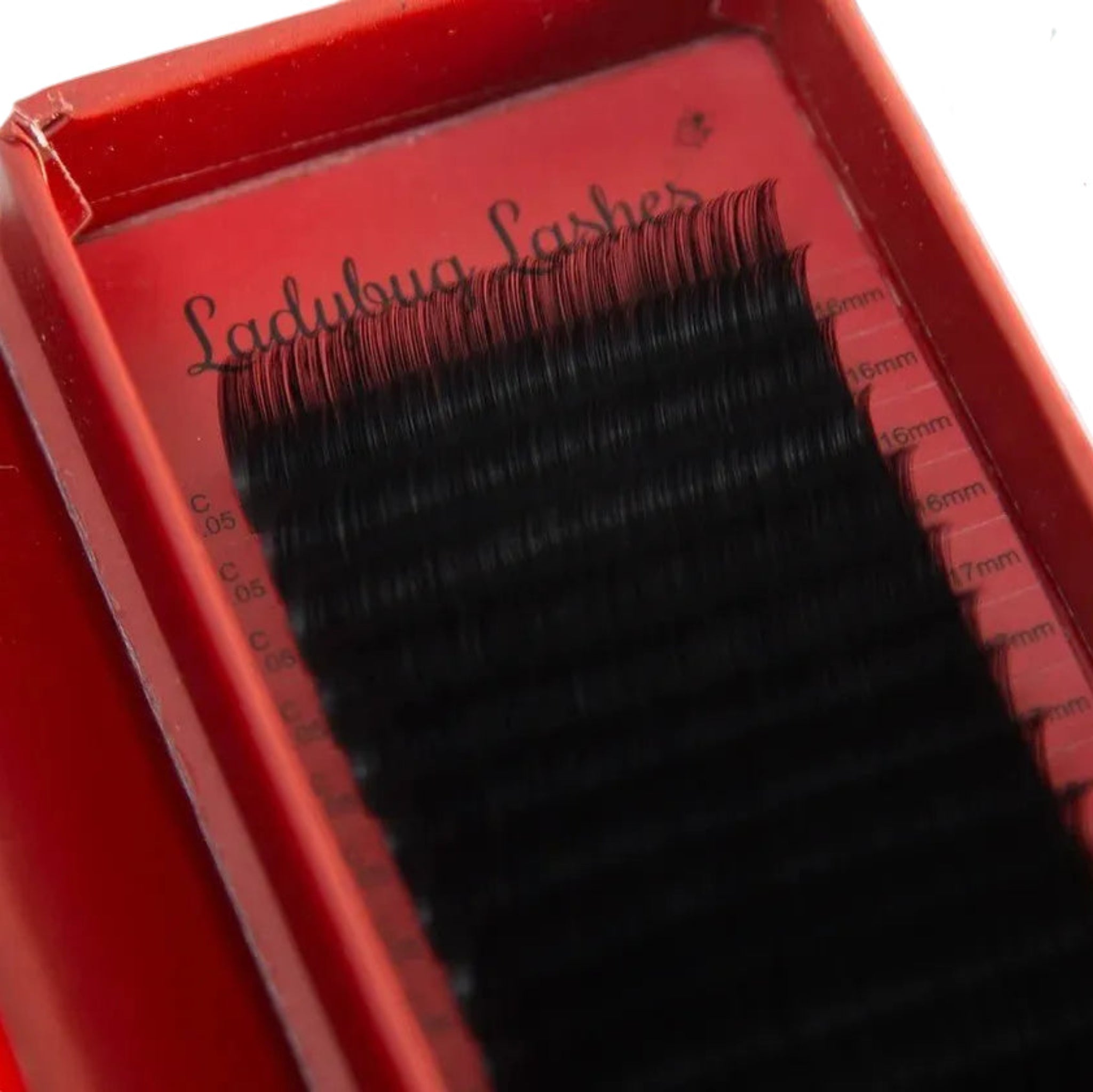 ladybuglashes lashglue lashtrays lashadhesive glueretention cloverlashes wlashes yylashes premades promades lashes