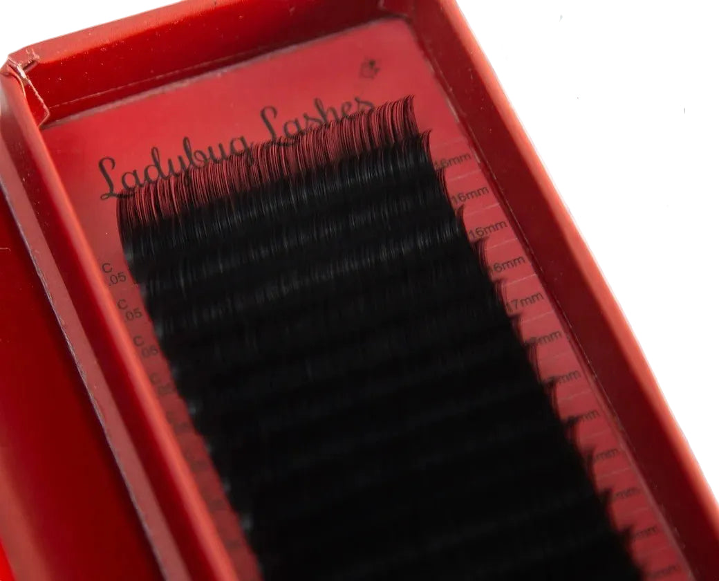 ladybuglashes lashglue lashtrays lashadhesive glueretention cloverlashes wlashes yylashes premades promades lashes