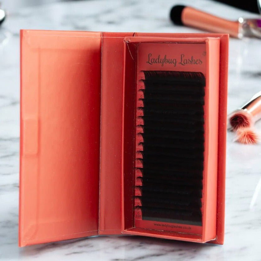 ladybuglashes lashglue lashtrays lashadhesive glueretention cloverlashes wlashes yylashes premades promades lashes