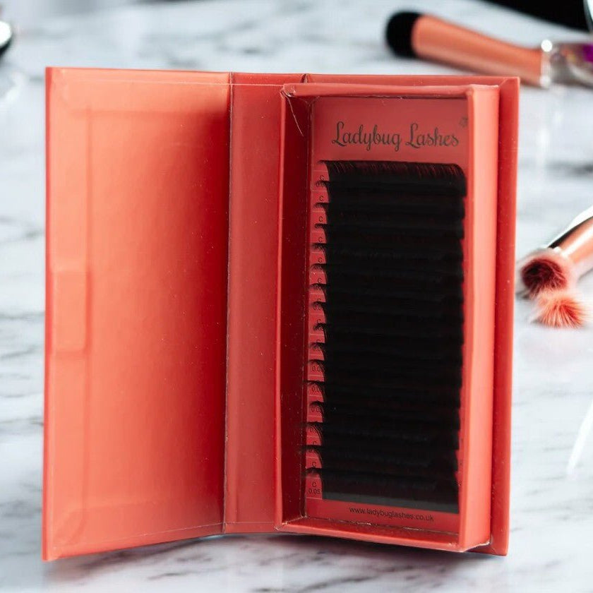 ladybuglashes lashglue lashtrays lashadhesive glueretention cloverlashes wlashes yylashes premades promades lashes