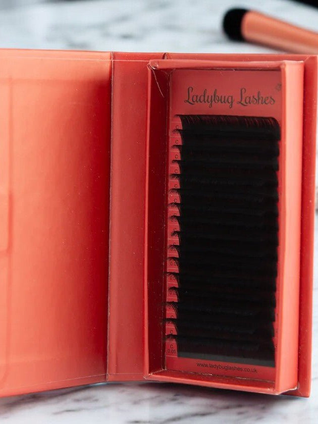 ladybuglashes lashglue lashtrays lashadhesive glueretention cloverlashes wlashes yylashes premades promades lashes