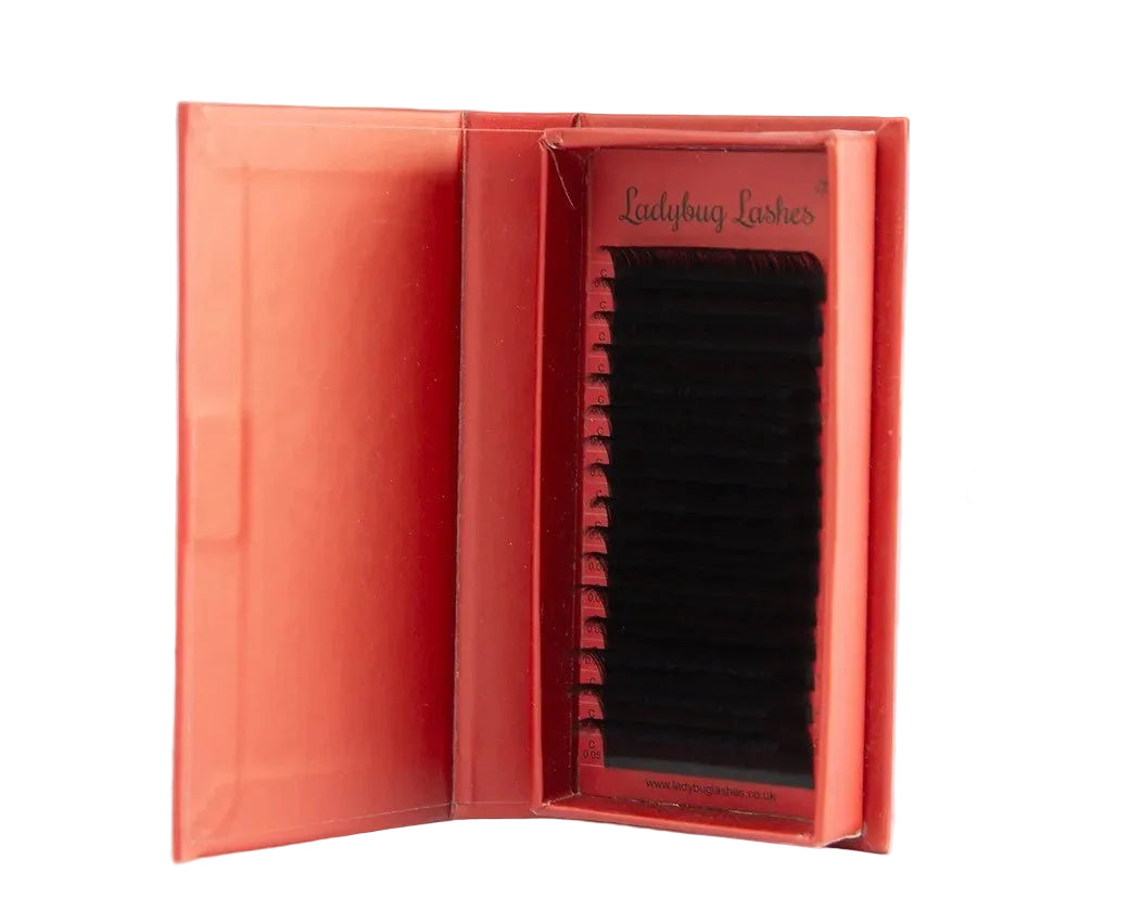 ladybuglashes lashglue lashtrays lashadhesive glueretention cloverlashes wlashes yylashes premades promades lashes