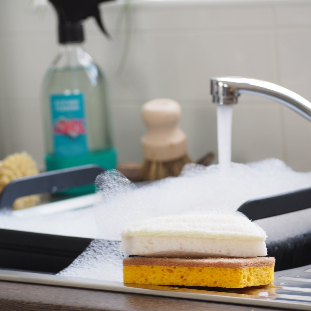 ladybuglashes lashglue lashtrays lashadhesive glueretention cloverlashes wlashes yylashes premades promades lashes