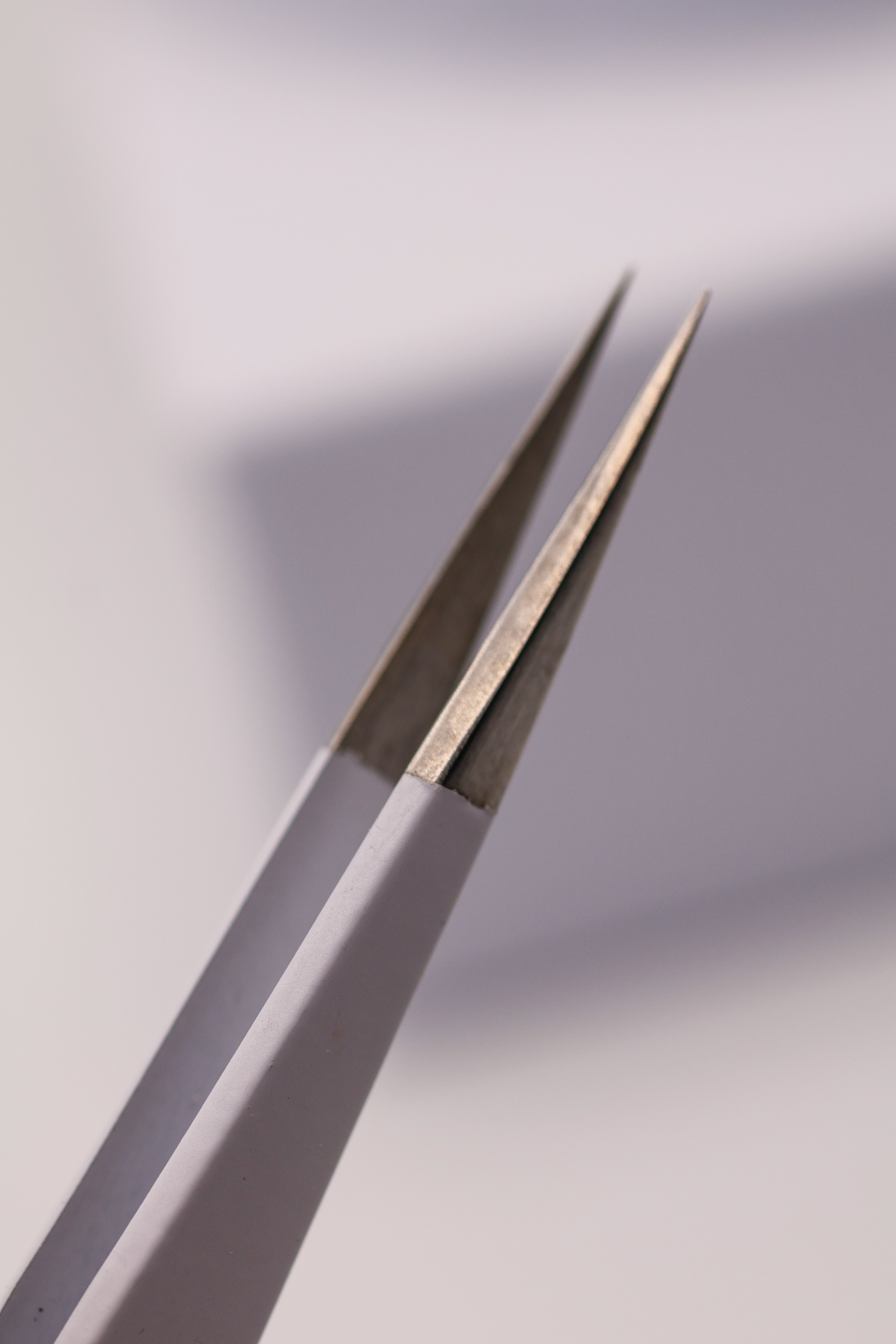 Close-up of LADYBUGLASHES Straight Tip Isolation Tweezers – smooth tip detail