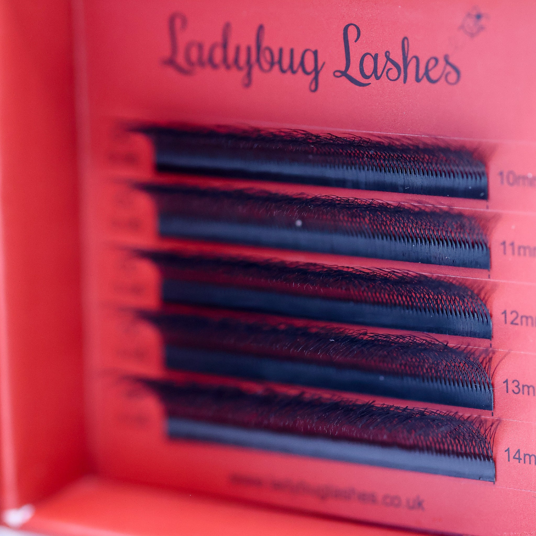 Ladybug Lashes Sample Tray 6D Clover angled view showing five rows of black 6D clover fans in red branded box