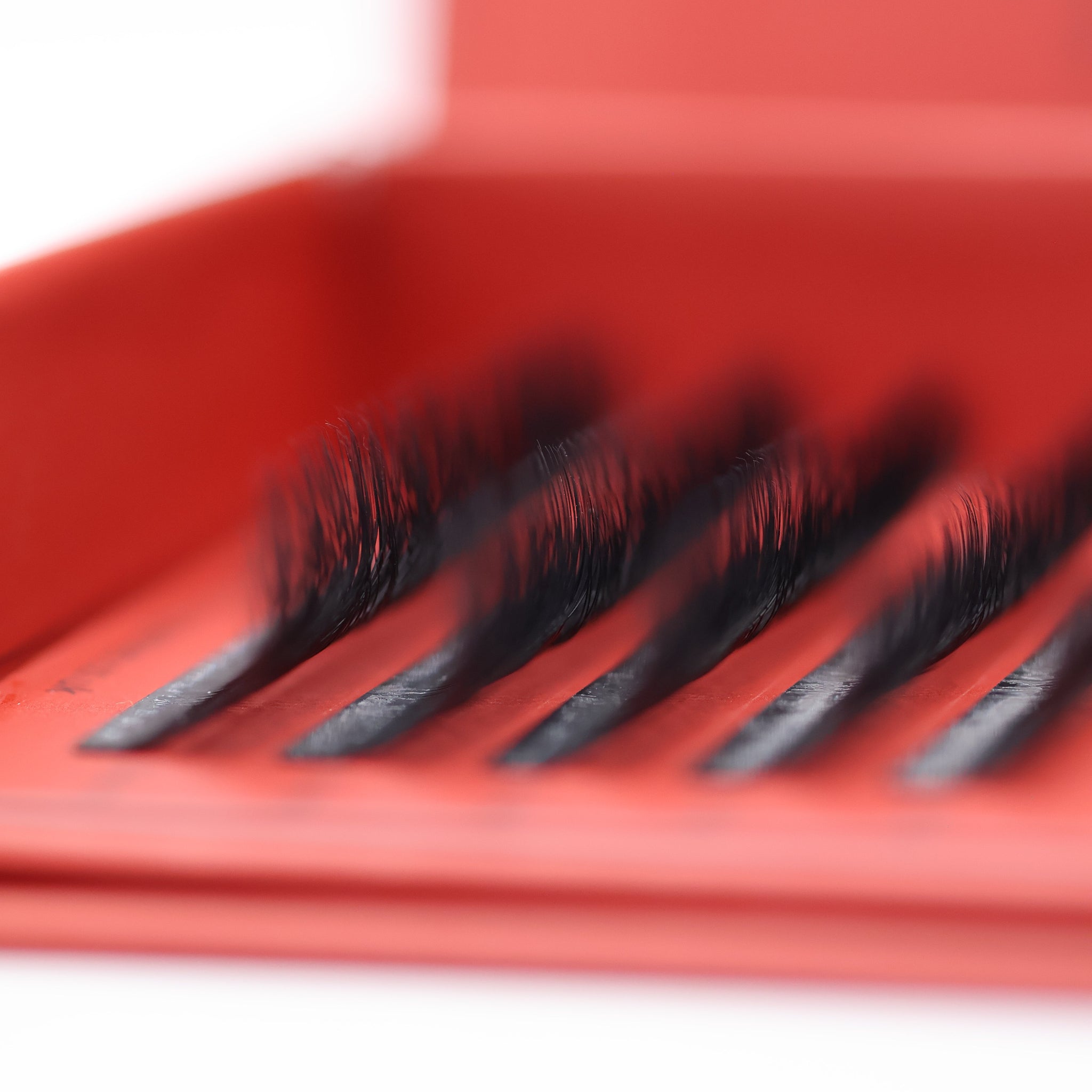 Close-up of Ladybug Lashes 6D Clover fan row showing dense black fibres and curl lift from low angle